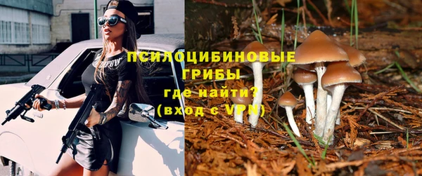 мескалин Майский