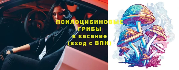 PSILOCYBIN Лихославль