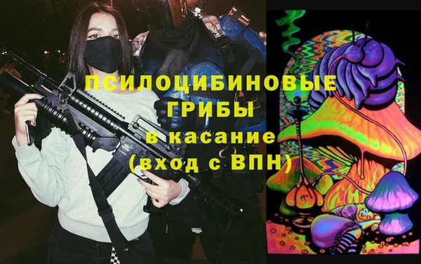 гашик Магас